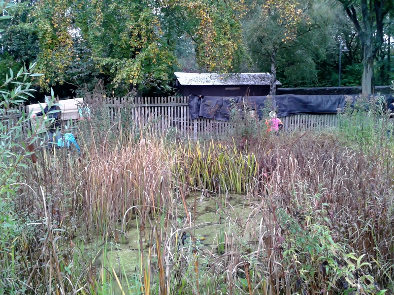 20141011_102442__800x600_.jpg