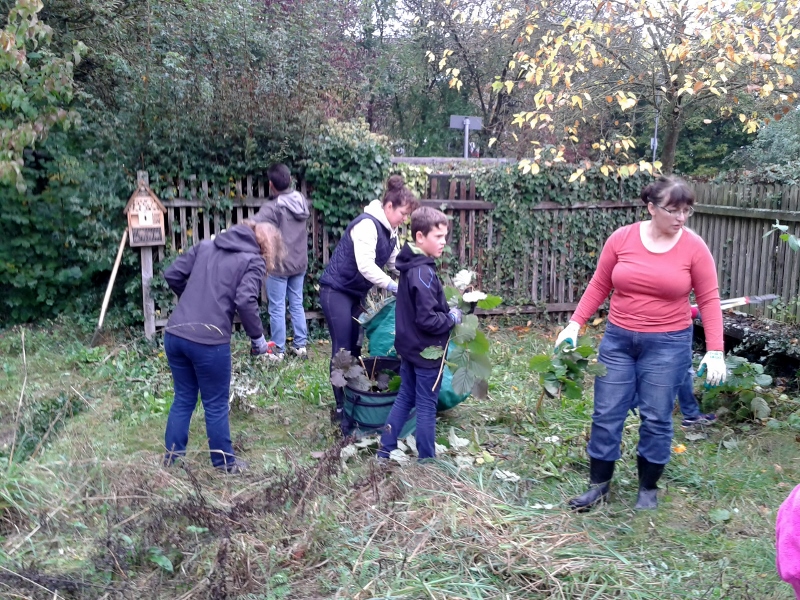 20141011_102453__800x600_.jpg