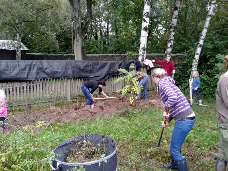 20141011_102505__800x600_.jpg