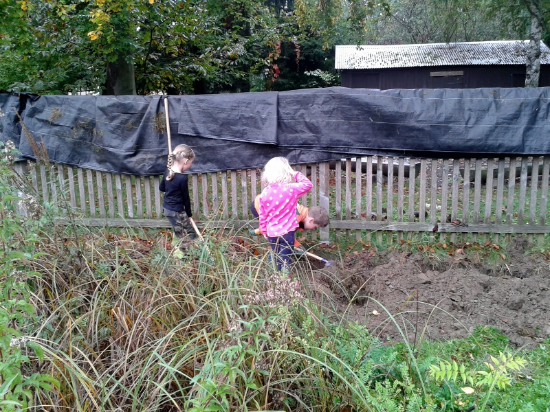 20141011_102521__800x600_.jpg