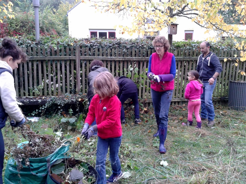 20141011_102600__800x600_.jpg