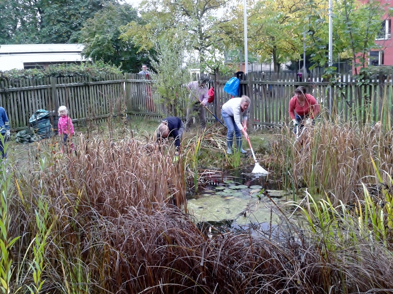 20141011_105517__800x600_.jpg