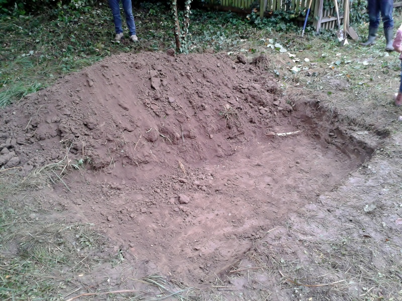 20141011_113142__800x600_.jpg