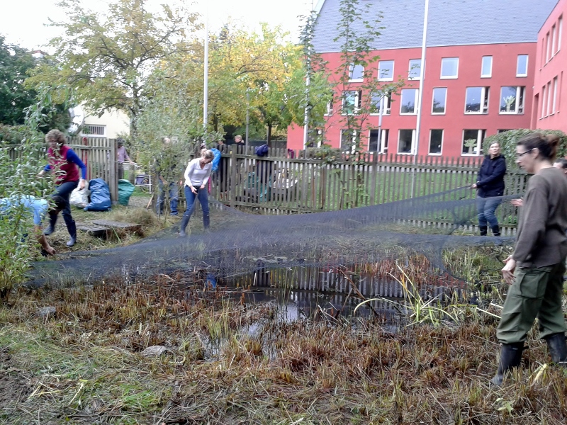 20141011_115907__800x600_.jpg