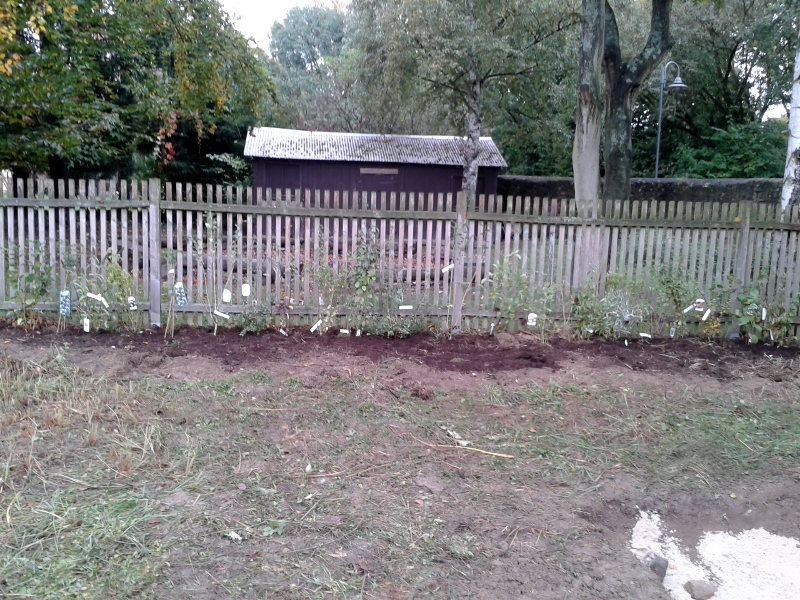 20141011_115918__800x600_.jpg